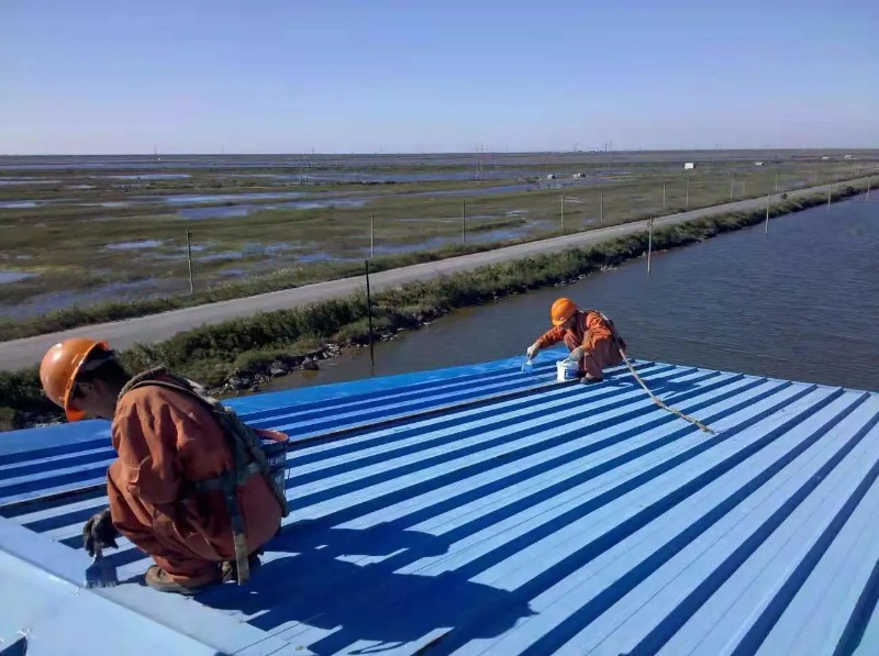 溧水彩钢瓦屋面防腐翻新